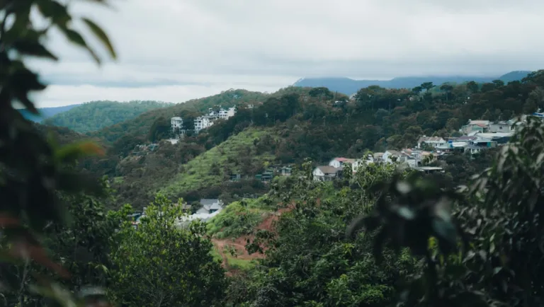 A view of a town from a distance